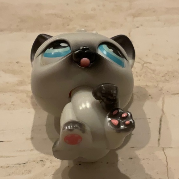 Littlest Pet Shop Magic Motion Paw Licking Kitten LPS 16 Toy 2005 Persian Cat - Picture 3 of 6